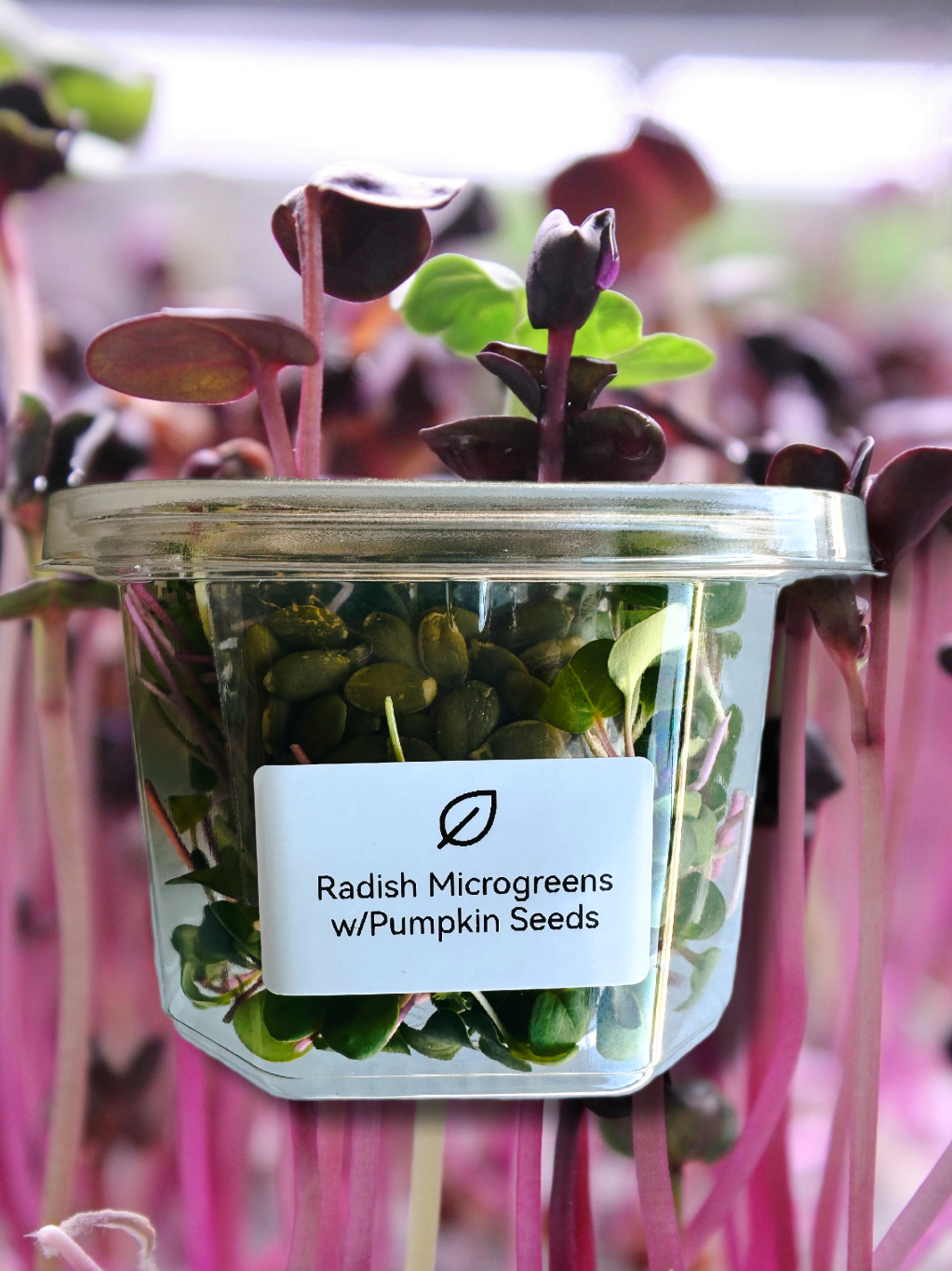 Complete Micro-Blend w/added Pumkin seeds