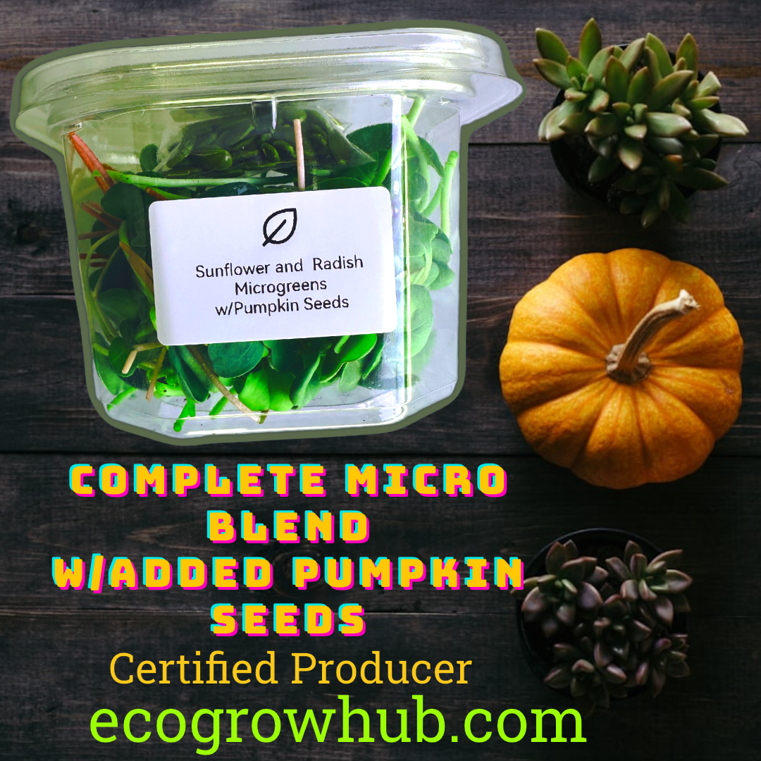 Complete Micro-Blend w/added Pumkin seeds