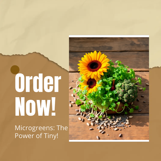 Complete Micro-Blend w/added Pumkin seeds