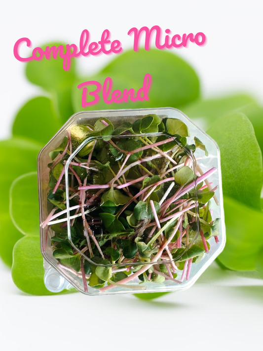 Complete Micro Blend